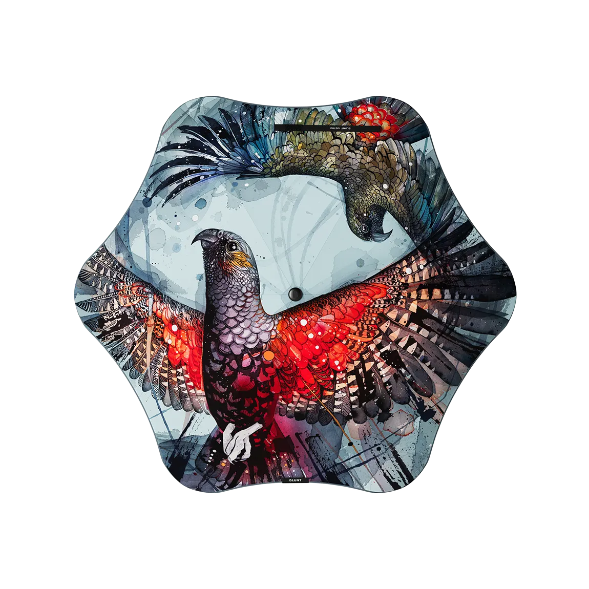 BLUNT x Forest & Bird Rachel Walker