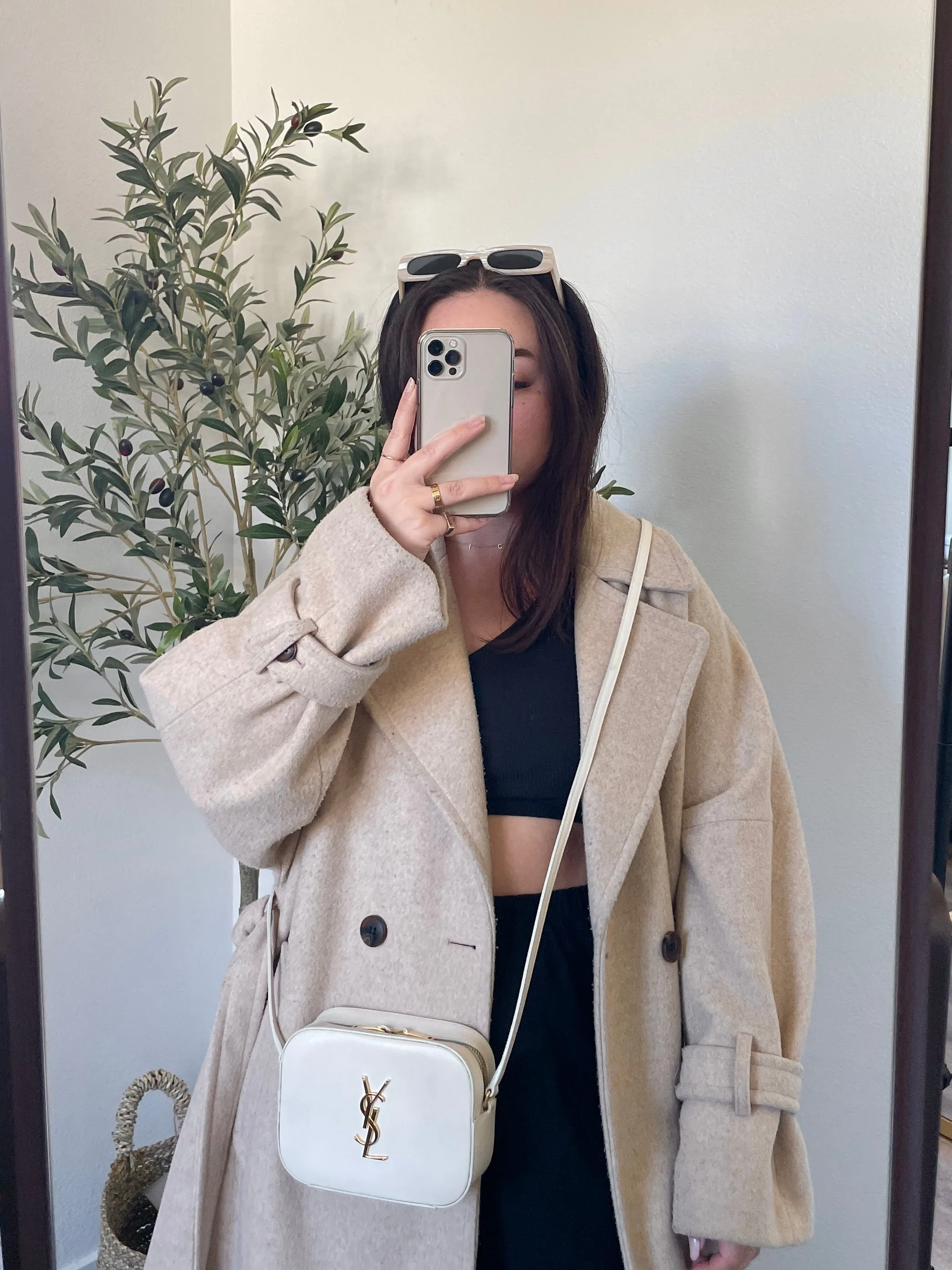 Saint Laurent Camera Bag